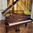 C. Bechstein A-185 von 1918 in Rosewood glossy