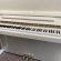 Schimmel Classic C 120 Tradition von 2021 in White glossy