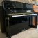 W.Hoffmann T122 von 2012 in Black glossy