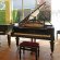 C. Bechstein M von 1927 in Black glossy