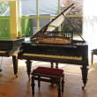 C. Bechstein M von 1927 in Black glossy