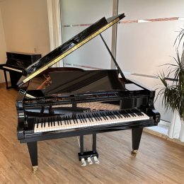 Schimmel K213-T von 2012 in Black glossy