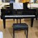 Schimmel F 156 Tradition von 24 in Black glossy