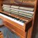 W.Hoffmann 120 Eibe poliert von 1990 in Yew Wood glossy