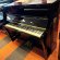 Schimmel K 122 E von 2019 in Black glossy