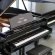 Bösendorfer 225 von 2016 in Black glossy