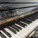 Schimmel 118 Tradition von 1988 in Black glossy