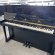 Schimmel 118 Tradition von 1988 in Black glossy