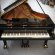 Steinway & Sons D-274 von 1980 in Black glossy