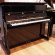 Wilh. Steinberg IQ-24 von 2012 in Black glossy