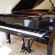 Wilh. Steinberg P-212 von 2012 in Black glossy