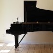 Wilh. Steinberg P-212 von 2012 in Black glossy