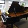 Bösendorfer Imperial von 1985 in Black glossy